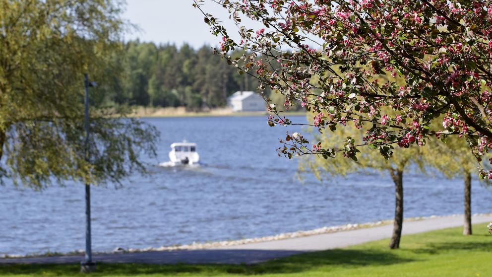 Kuva kesäisestä kampuksesta.