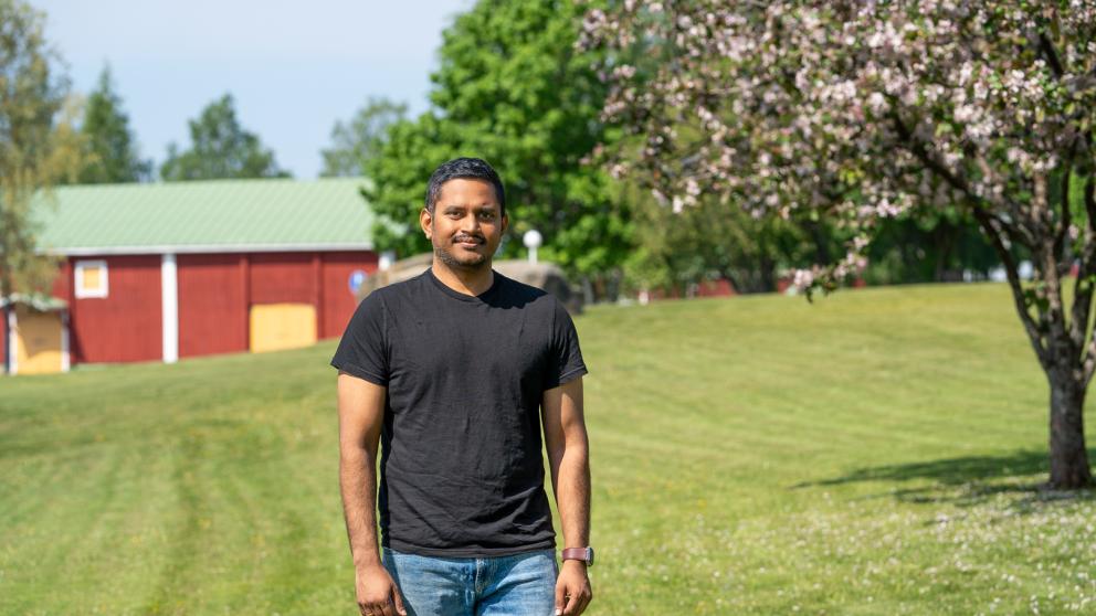 Alumnus Raja Marthala visiting the University of Vaasa campus, green grass and a blossoming tree on the background.