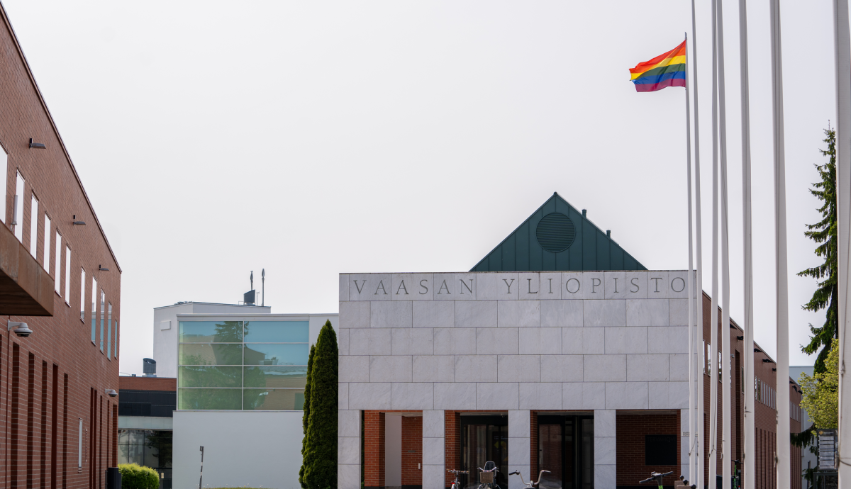 Marmoriportti pride-lippu